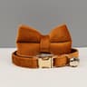 Personalized Luxury Velvet Cat Collar Set 18