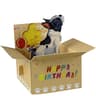 3D Hilarious PopUp Happy Birthday Card 11