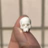 Mini Skull Miniature Model For Halloween  Home Decor 6