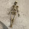 High Quality 1 12 Miniature Skeleton Skull Model 9