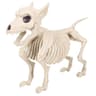 Halloween Skeleton Animal Prop Decor 7