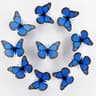 10Piece Monarch Butterfly Wall Decoration Set 12