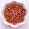 100Piece Mini Resin Colorful Flower Flatback Gems 9