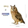 Flat Waterproof Realistic Owl Bird Repellent Scarecrow Device 10