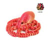 3D Printed Articulated Octopus Rex Model 8