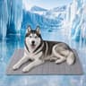 QMax 05 Summer Cooling Pet Mat 15