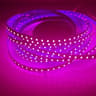 DC 12V24V HighDensity 2835 LED Strip Light 12