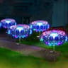 Solar Dandelion Grass Globe Garden Stake Light 7