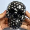 Skull Pimple Popping Sensory Squeeze Toy 1