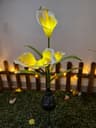 Outdoor Solar Calla Lily Flower Garden Stake Light 10