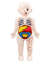Human Body Anatomy Model For Kids Educational DIY Organ Toy For Science Learning And Montessori STE 3