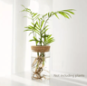 AquaBloom Desktop Glass Hydroponic Planter Vase 4