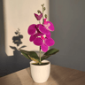 OrchidBloom Artificial Butterfly Orchid Plant 4