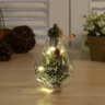 Christmas LED Hanging Bulb Light 5