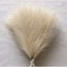 Fluffy Pampas Grass Stems For Boho Home And Event Decor 7