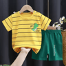 Kids Summer Cotton Clothing Set Cartoon T Shirt And Shorts Outfit 13