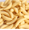 Soft Fishing Worm Bait Set Realistic Lifelike Soft Lures 50 Pack 5