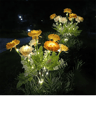 SnowLotus Solar Garden Lights For Outdoor Lawn And Patio Decor 6