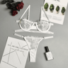 Fairy Embroidery Lace Lingerie Set Push Up Transparent Bra And Briefs 4