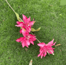 Hot Pink Artificial Rose And Hydrangea Wedding Floral Arrangement Set 3