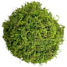 Artificial Moss Green Plant Decor Peat Moss Potting Craft 7