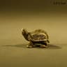Vintage Brass Turtle Figurine Feng Shui Decor For Desk And Home 7