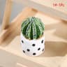Mini Dollhouse Plant Pot Realistic Miniature Flower Vase Decor 6