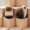 Hand Carved Wooden Cat Figurine Cute Kitten Desk Decor For Home And Car Styling 7