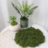 Artificial Moss Decor Green Faux Moss For DIY Crafts And Home Decoration 6