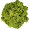 Transform Ordinary Spaces Into Calming Green Sanctuaries With This Soft Lifelike Reindeer Moss That 19
