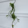 Artificial Rattan Vine Decor Natural Look Hanging Branch For Wall Wedding And Home Styling 7