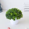 EverMini Bonsai Artificial Plant Potted Green Decor 6