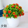 EverMini Bonsai Artificial Plant Potted Green Decor 18