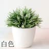 EverMini Bonsai Artificial Plant Potted Green Decor 10