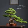Artificial Pine Bonsai Tree Desktop Decor Evergreen Mini Landscape Plant 8