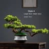Artificial Pine Bonsai Tree Desktop Decor Evergreen Mini Landscape Plant 9