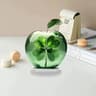 Crystal Apple Figurine Glass Paperweight Elegant Desk Decor 18