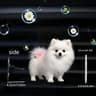 Car Air Vent Perfume Clip Diffuser For Fresh Interior Fragrance 13