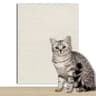 Self Adhesive Cat Scratcher Sofa Protector Mat 12