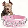 Adjustable Punk Spike Dog Collar 7