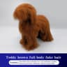 Professional Teddy Dog Grooming Practice Mannequin For Pet Groomer Training 7