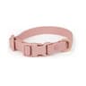 FlexGuard Waterproof Adjustable Dog Collar 11
