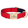 Personalized Waterproof Dog Collar With Soft Padding 10