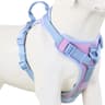 Breathable No Pull Dog Harness Adjustable Personalized Pet Vest 6