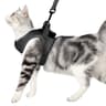 SkyPaw Escape Proof Cat Harness And Leash Set 7
