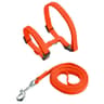 SafetyFit Escape Proof Pet Harness And Leash Set For Cats And Small Dogs 9