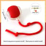 SmartRoll Rechargeable Interactive Cat Ball Automatic Moving Toy 16