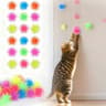 BounceBlast Cat Balls 7