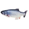 FlopNPlay Interactive Moving Fish Toy USB Rechargeable Cat Toy 6