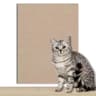 ScratchShield Self Adhesive Cat Scratching Mat Sofa And Wall Protector 10